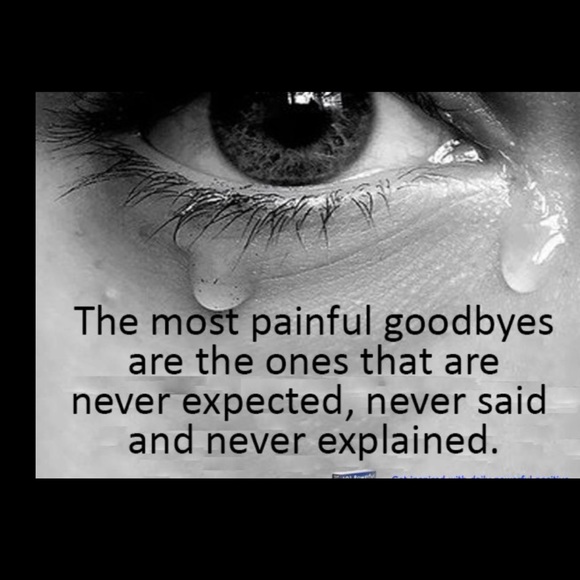 Meet your Posher, Vicky - Picture 3 of 4