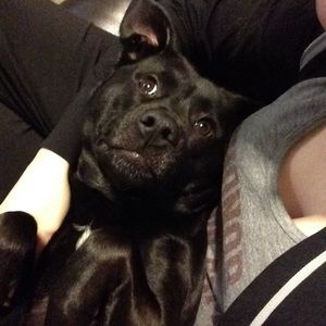 Meet your Posher, Natasha