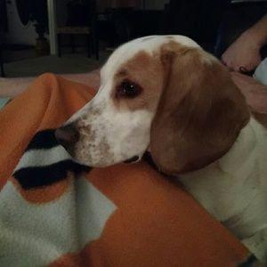 Meet your Posher, Sherry