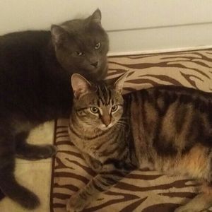 Meet your Posher, Debra