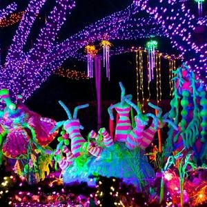 Meet your Posher, Sonia