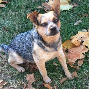 Meet your Posher, Deborah