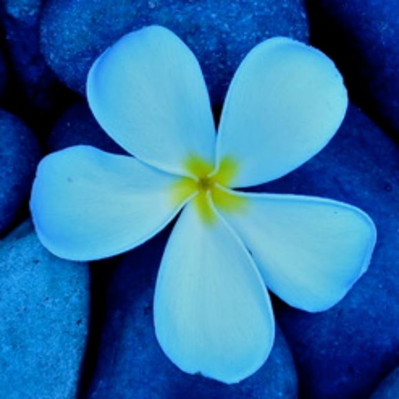 Meet your Posher, Kay