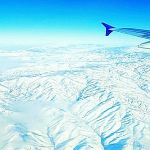 Meet your Posher, Noelle