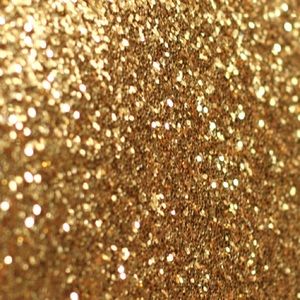 Meet your Posher, Paige