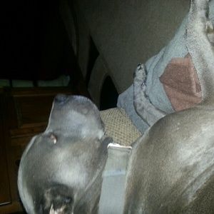 Meet your Posher, Jodi