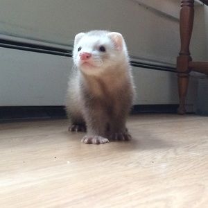 Meet your Posher, Bethany