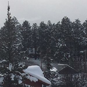 Meet your Posher, Paz