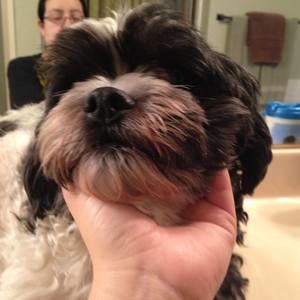 Meet your Posher, Tanya