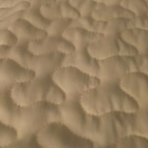 Meet your Posher, Daisy