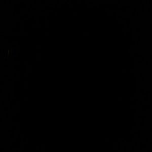 Meet your Posher, Ty