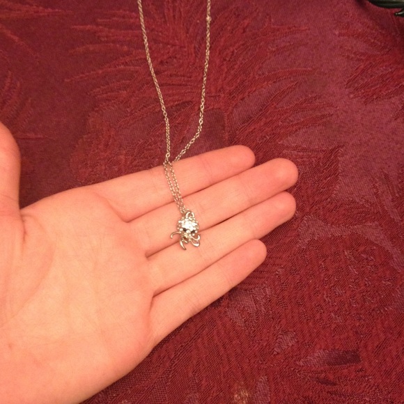 Octopus necklace from Florida