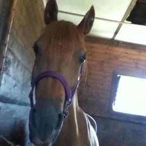 Meet your Posher, Jewel