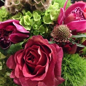 Meet your Posher, Elisa