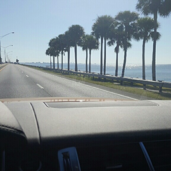 Meet your Posher, Cody - Picture 2 of 4