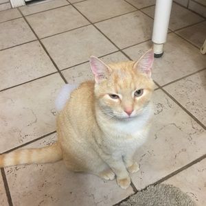 Meet your Posher, Chelsea