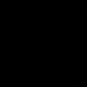 Meet your Posher, Faith