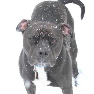 Meet your Posher, Tara