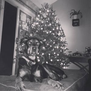 Meet your Posher, Kristina