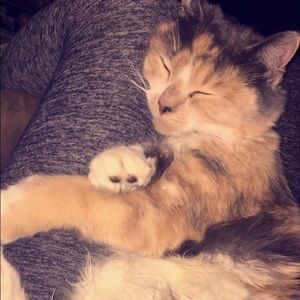 Meet your Posher, Brooke