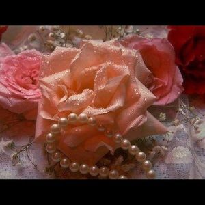 Meet your Posher, Barbara