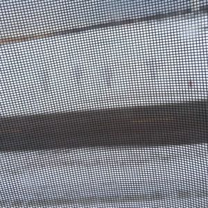 Meet your Posher, Isela