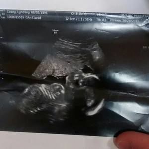 Meet your Posher, Lyndsey