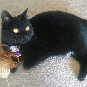 Meet your Posher, Michele