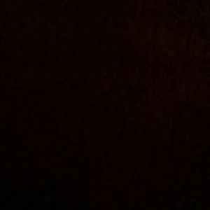 Meet your Posher, Anabelle