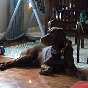 Meet your Posher, Heather