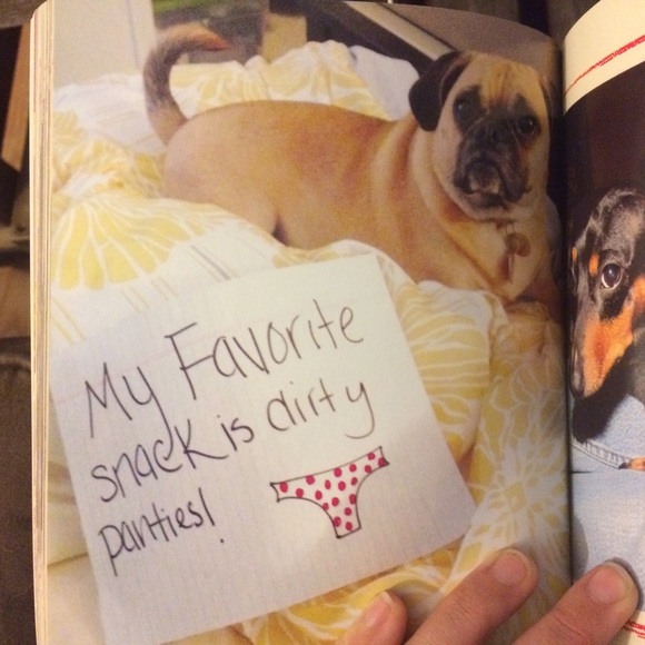 FOUND! DISO Punkin Chunkin - Picture 4 of 4