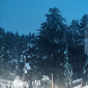 Meet your Posher, Gurgen