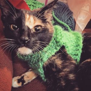 Meet your Posher, Leslie