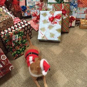 Meet your Posher, Alicia