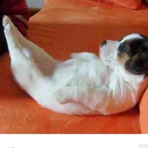 Meet your Posher, Chloé