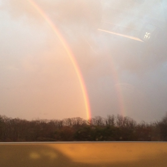 Meet your Posher, Bella - Picture 2 of 3