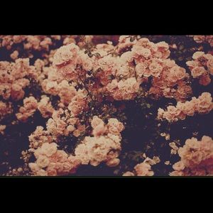 Meet your Posher, Kimmy