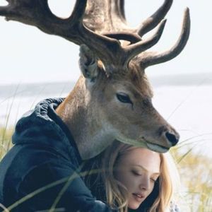 Meet your Posher, Joshua