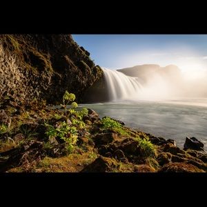 Meet your Posher, Chau