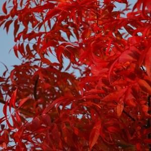 Meet your Posher, Chantal