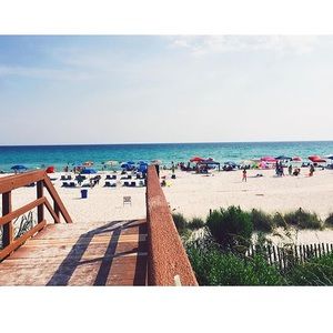 Meet your Posher, Holly