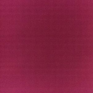 Meet your Posher, Jane