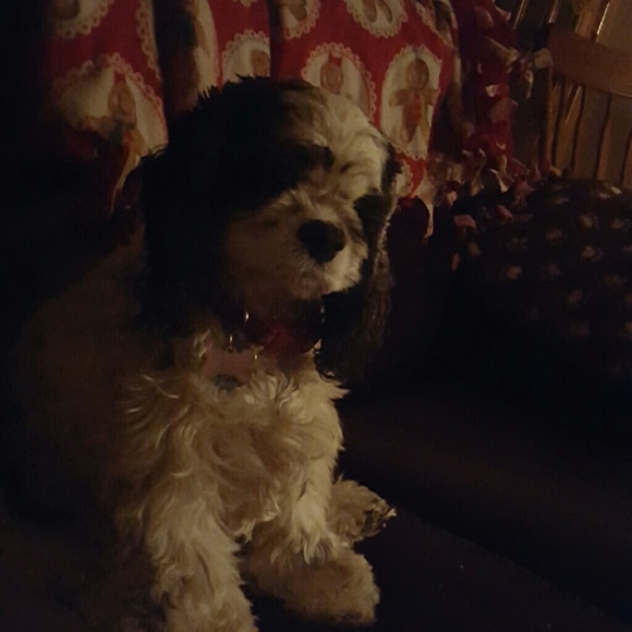 Meet your Posher, Lorie - Picture 1 of 1