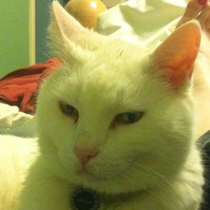 Meet your Posher, Julie