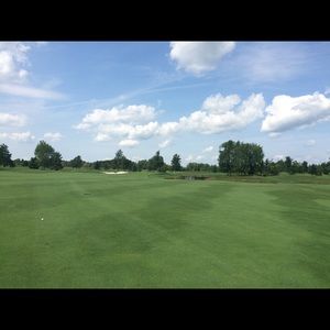 Meet your Posher, Wayne