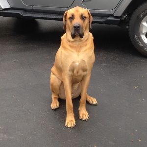 Meet your Posher, Kathy