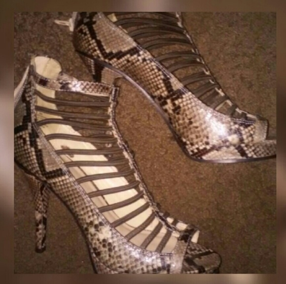 Snake skin heels