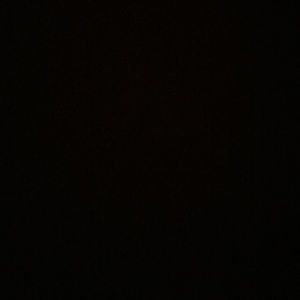 Meet your Posher, Audrey