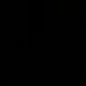 Meet your Posher, Dottie