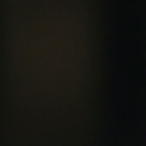 Meet your Posher, Ronnie